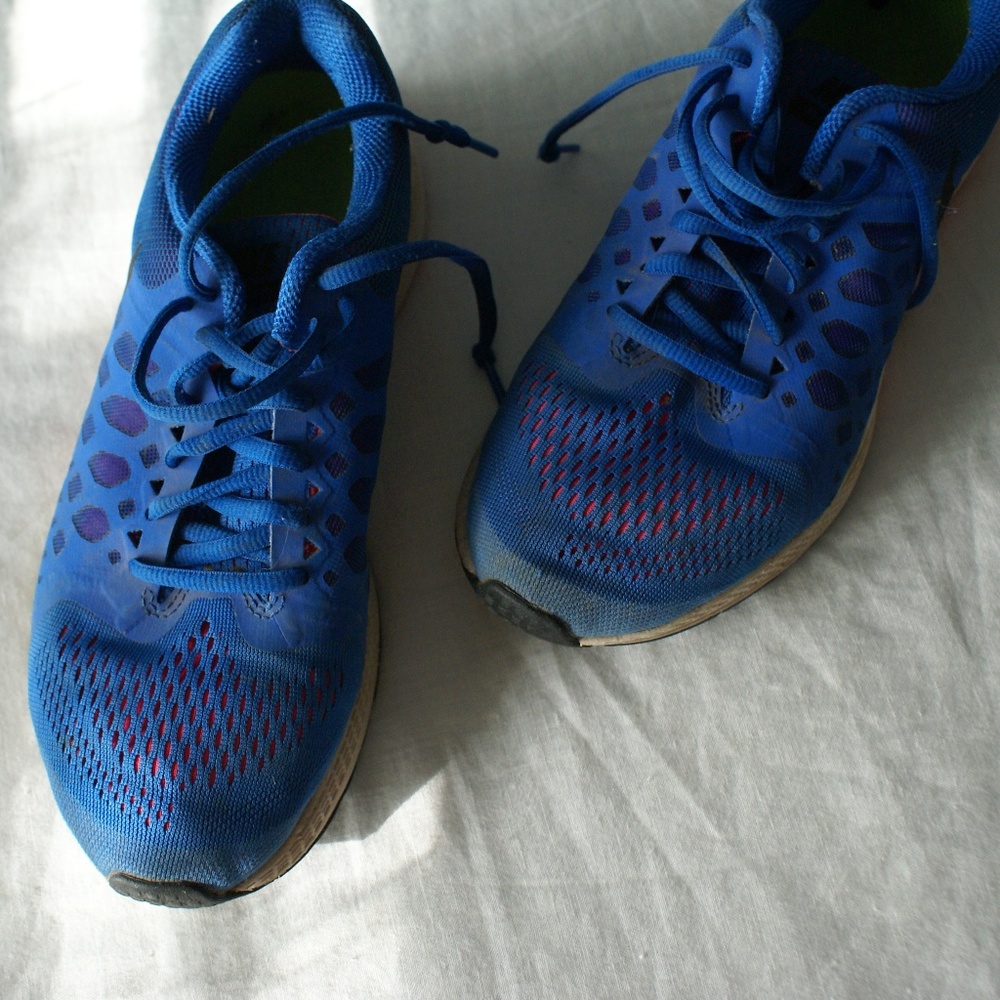 Nike Pegasus 31's